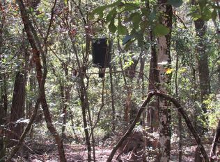 L-57 SE Canal Rd #61, Branford, FL 32008