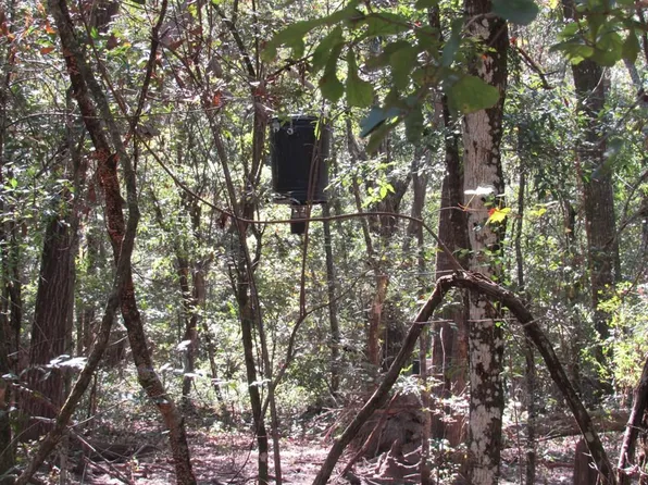 L 57-61 SE Canal Rd, Branford, FL 32008