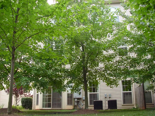 21170 Domain Ter, Sterling, VA 20165