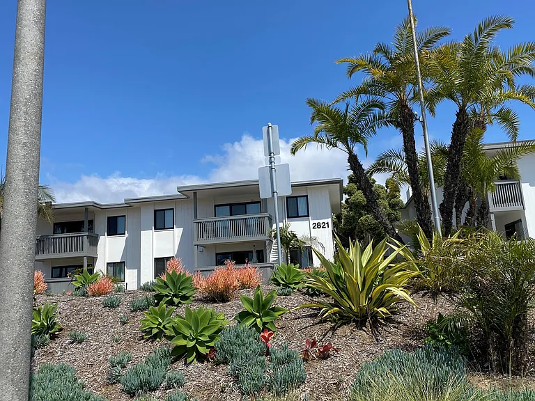 Beach Colony — Photo 11
