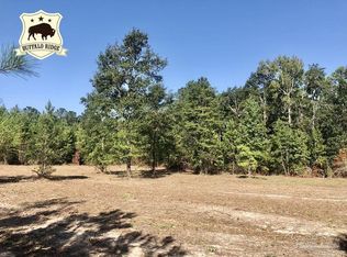 LOT 2 Buffalo Ridge Rd, Milton, FL 32571