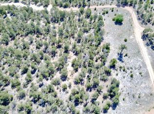 1758 Eskimo Ln LOT 59A, Heber, AZ 85928