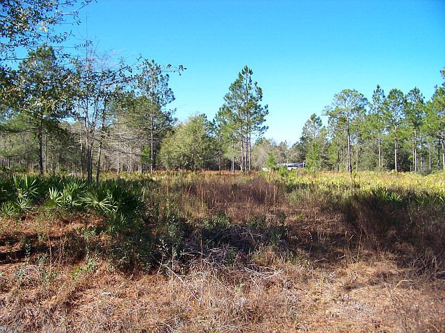 2nd image of 28 College Cir