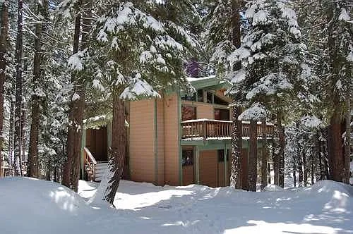 4516 Piney Wood Rd — Photo 20