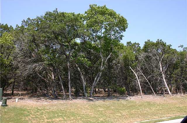 1st image of 4200 Verano Dr