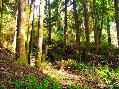 0 Summit Avenue, Hoquiam, WA, 98550