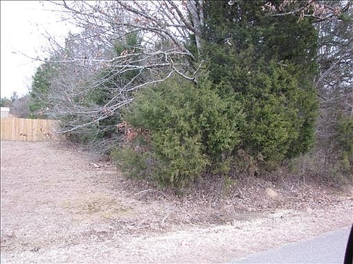 2nd image of Sadonnah Ln