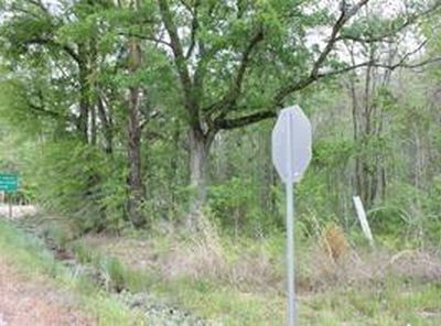 Highway 25, Covington, LA, 70433