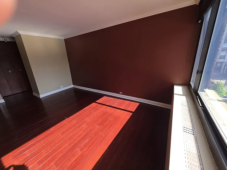 1555 N Sandburg Ter #305 — Photo 12