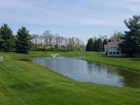Pond view