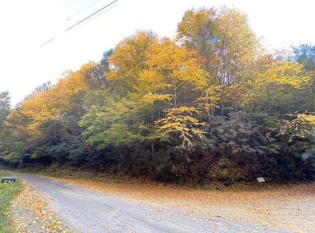 1st image of 398 Ball Hollow Rd Lot 0