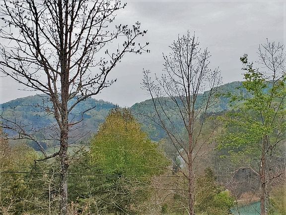 3rd image of 6061 Red Cedar Way Lot 60&61