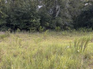 166th Pl, Wellborn, FL 32094
