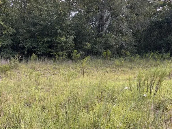 166th Pl, Wellborn, FL 32094