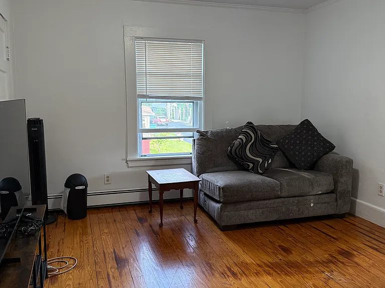 300 Bridge St #1 — Photo 9