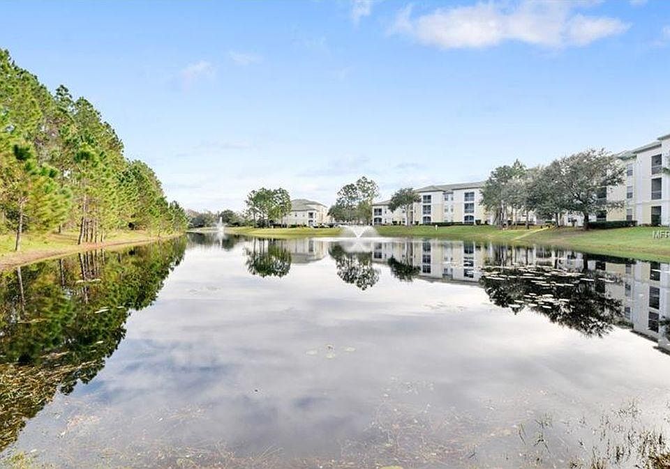 Pond near the building