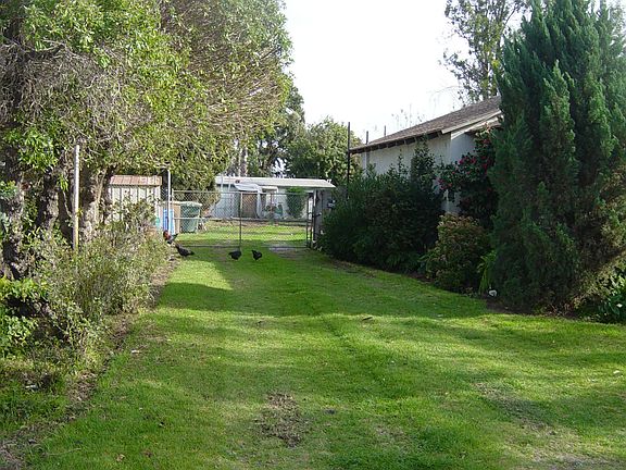 Side yard