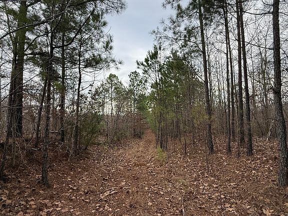 4th image of 130 County Road 14