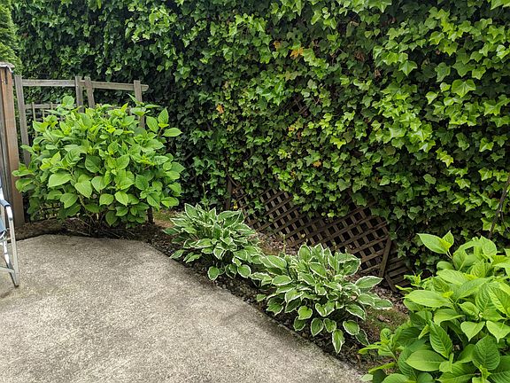 Oasis Patio, very relaxing and quiet.