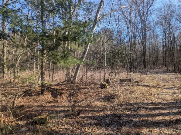 0 East Rd, Montrose, MI 48457