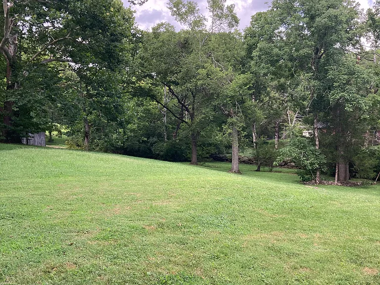 Large back yard