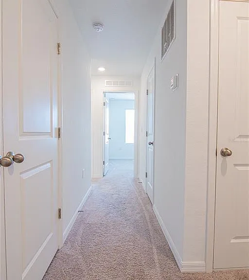 205 Mandovi St — Photo 19