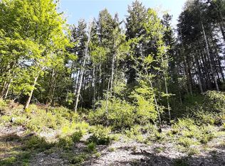 301 NE WJ Way, Belfair, WA 98528