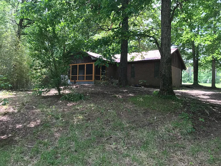 Back yard view