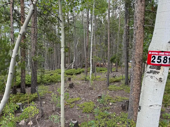 2581 Shoshoni Dr, Red Feather Lakes, CO 80545