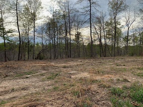 5th image of 170 Eagle Crest Dr