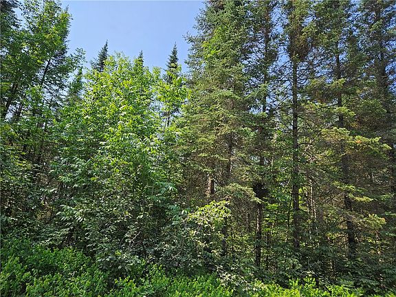 5th image of 0 Beaver Brook Rd.
