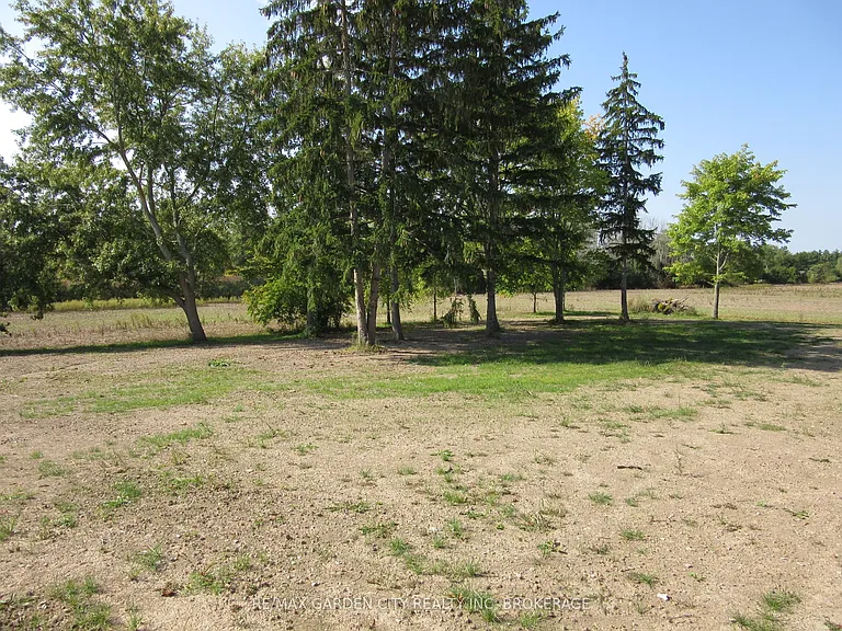 11981 Morris Rd — Photo 24