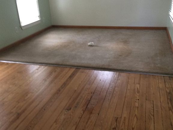 4th image of 568 McDaniel Ln