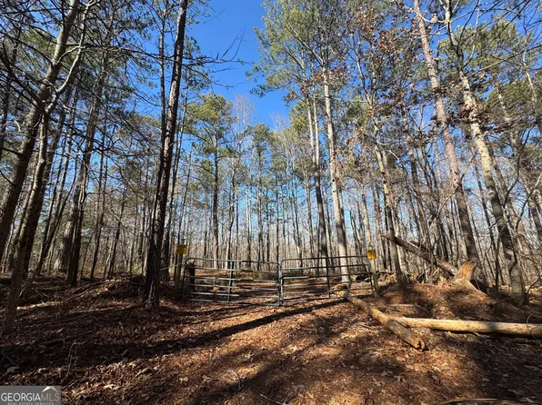 300 Old Goshen Church Rd, Roopville, GA 30170