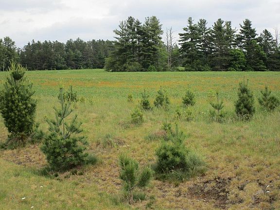 5th image of xxx River Pines Drive