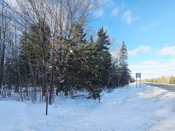 10098 Us Highway 41 S, Skandia, MI 49885