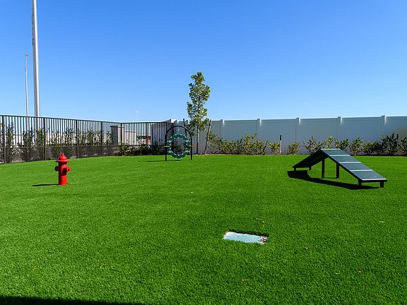 Dog Park