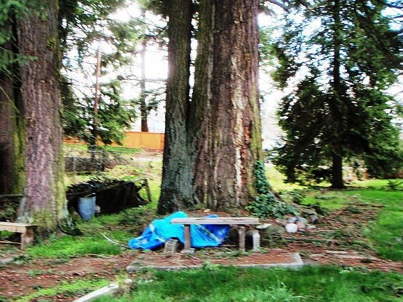 3rd image of 17101 4th Ave S