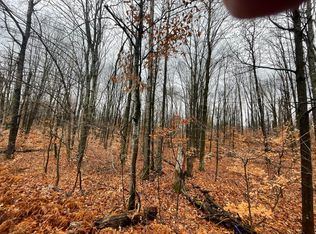 LOT 281 Acacia Dr, Mancelona, MI