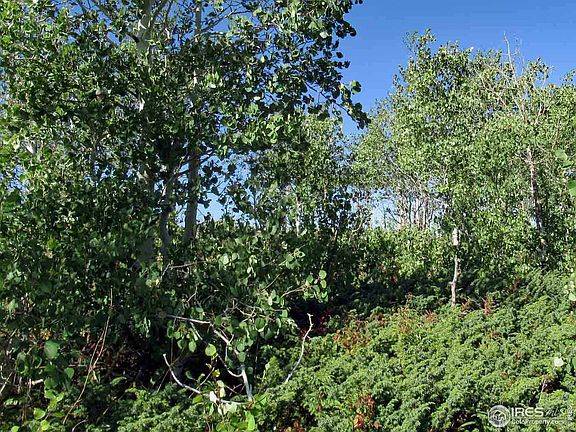 3rd image of Sand Creek Park