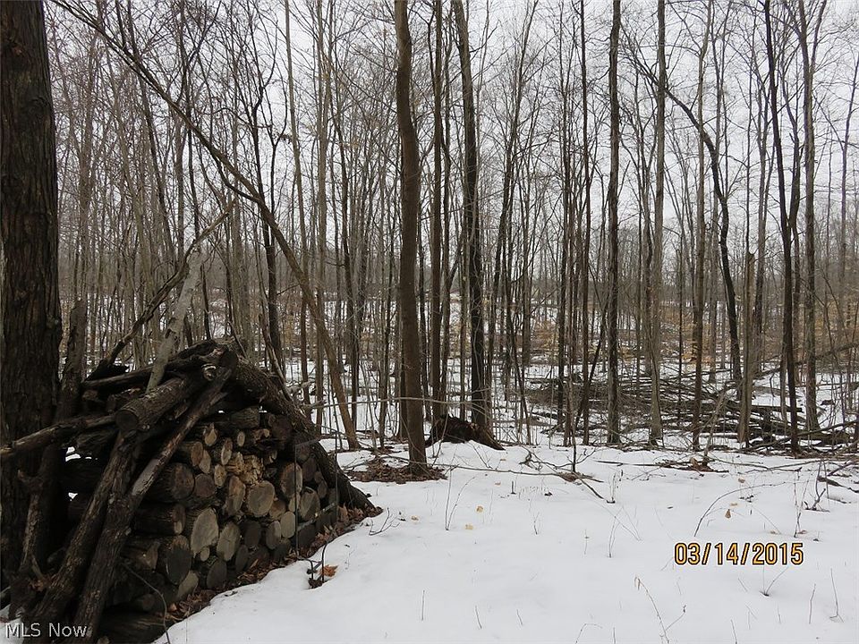 2nd image of Wayland