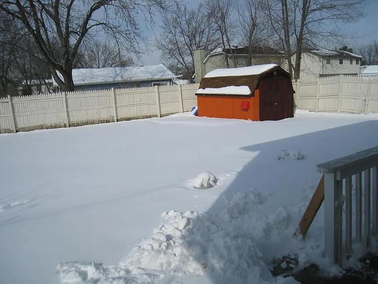 Backyard (Right)
