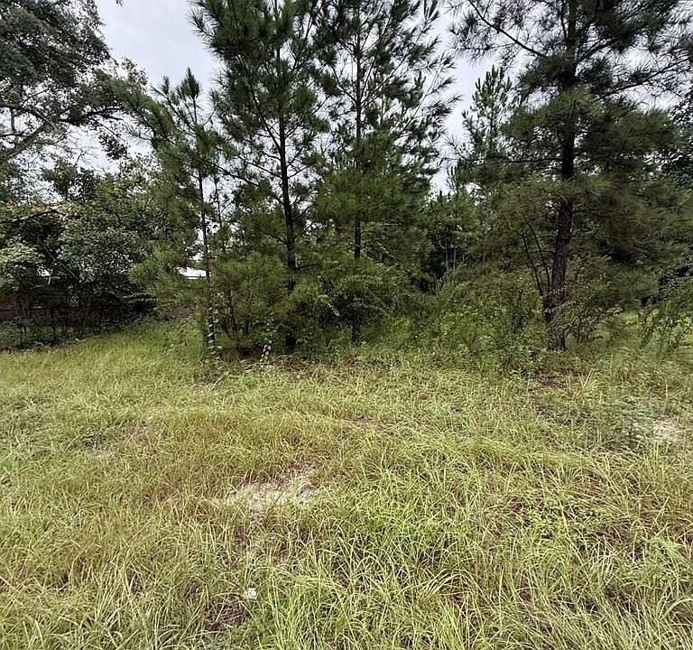 2nd image of 602 Bethlehem Rd