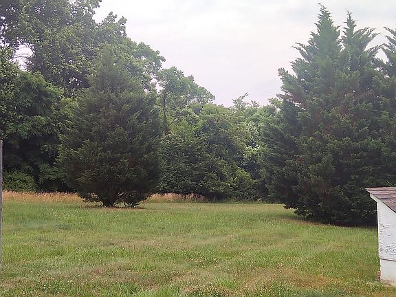 Yard view looking toward cypress trees
