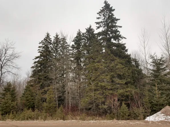 5046 N Black River Rd, Cheboygan, MI 49721