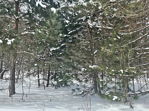 4th image of LOT 19 Summit View Dr