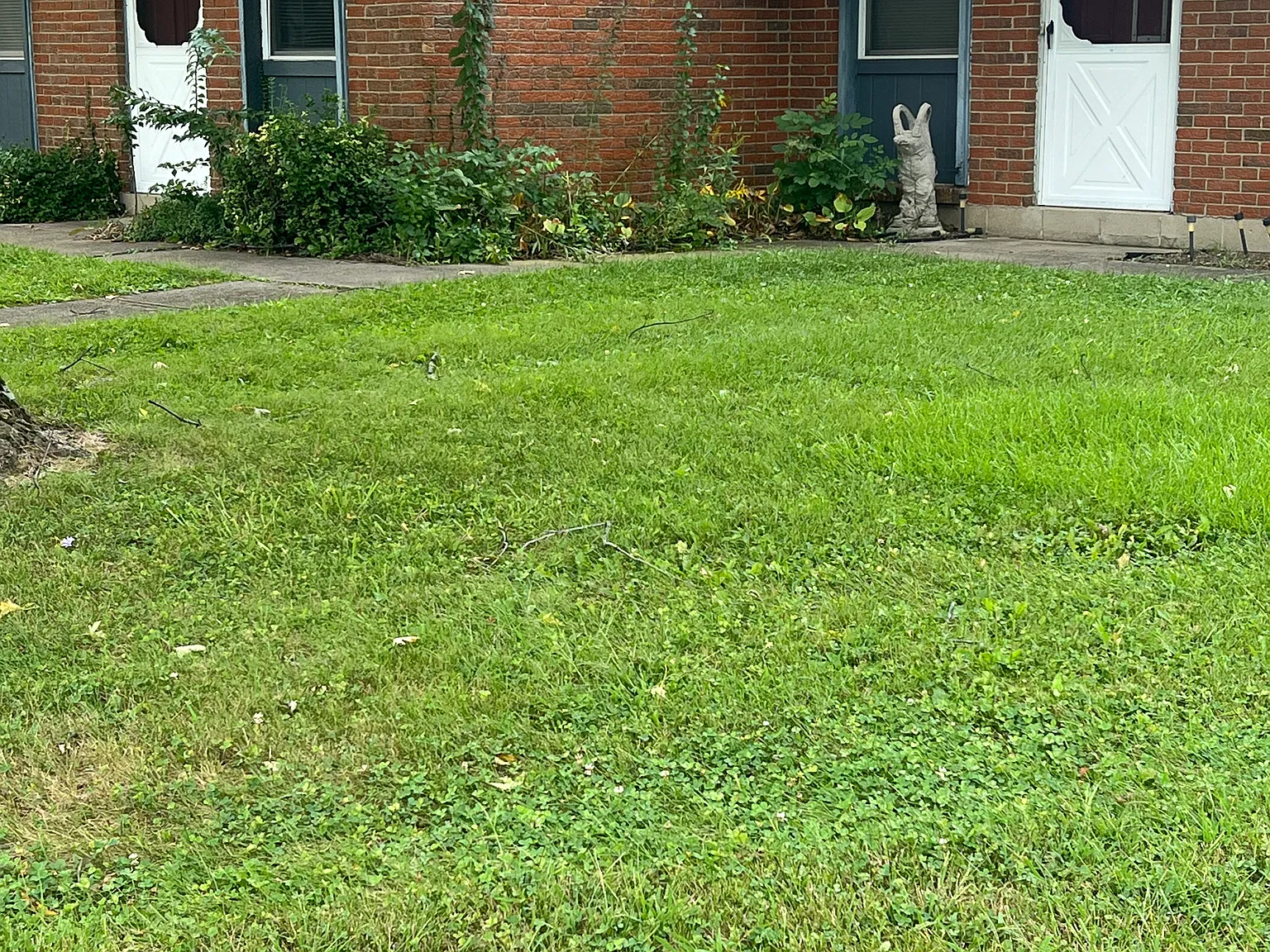 2 bed, 1000 sqft, $1,000 — Photo 1