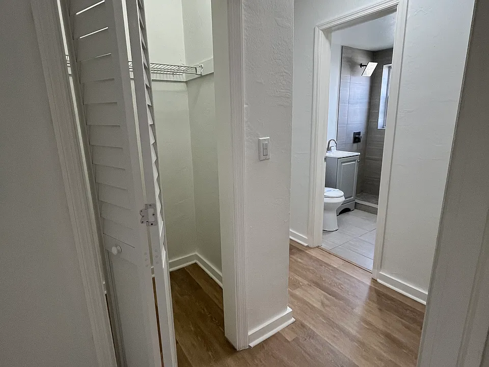 Hall/extra closet