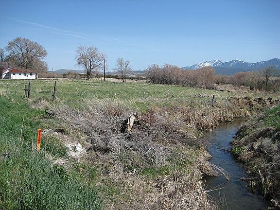 Irrigation rights.