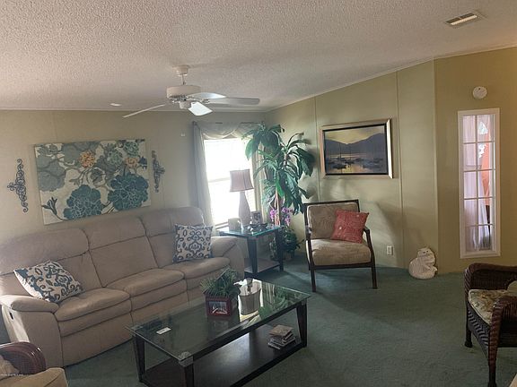 5th image of 100 Fig Ct